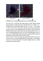 Referāts 'Teleskops - vissvarīgākais astronomijas instruments', 9.