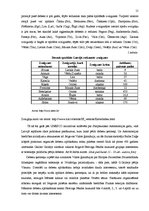 Referāts 'Teleskops - vissvarīgākais astronomijas instruments', 15.