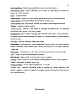 Referāts 'Teleskops - vissvarīgākais astronomijas instruments', 28.