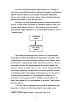 Referāts 'Mūsdienu menedžmenta filosofiskā problemātika', 3.