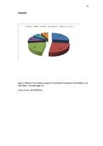 Referāts 'Nike - Global Expansion', 28.