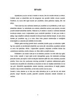 Referāts 'Jauniešu subkultūras', 3.