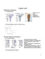 Referāts 'Ligzdu veidošana', 5.