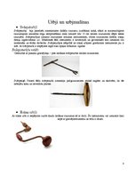 Referāts 'Ligzdu veidošana', 8.