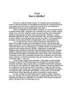 Eseja 'Kas ir dzīvība?', 1.