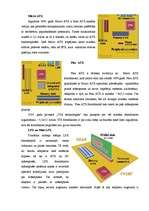 Konspekts 'Mātesplašu formfaktori', 3.