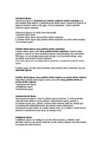 Konspekts 'Tiesību teorija', 20.