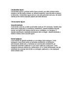 Konspekts 'Tiesību teorija', 21.