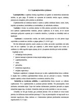 Diplomdarbs 'Uzņēmējdarbības vide un attīstības iespējas ražošanas uzņēmumā', 6.