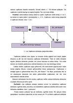 Diplomdarbs 'Uzņēmējdarbības vide un attīstības iespējas ražošanas uzņēmumā', 26.
