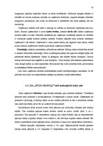 Diplomdarbs 'Uzņēmējdarbības vide un attīstības iespējas ražošanas uzņēmumā', 28.