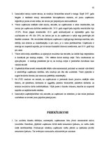 Diplomdarbs 'Uzņēmējdarbības vide un attīstības iespējas ražošanas uzņēmumā', 42.