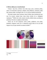 Prezentācija 'Elegantais stils', 21.