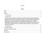 Referāts 'Feminisms un tā aktualitāte mūsdienās', 2.