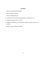 Referāts 'Feminisms un tā aktualitāte mūsdienās', 17.