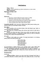 Prakses atskaite 'Integrētā mācību prakse pirmsskolā', 8.