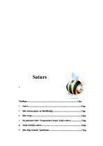 Referāts 'Bites', 2.