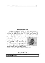 Referāts 'Bites', 3.