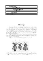 Referāts 'Bites', 4.