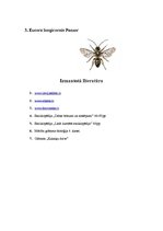 Referāts 'Bites', 9.