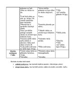 Paraugs 'Stundas plāns', 2.