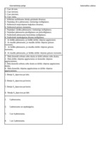 Konspekts 'Palīgs automehāniķu sagatavošanai', 12.