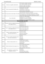 Konspekts 'Palīgs automehāniķu sagatavošanai', 34.