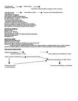 Konspekts 'Satversmes tiesa', 2.