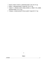 Referāts '"X jeans" uzņēmuma analīze', 8.