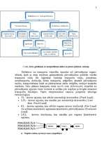 Referāts 'Noliktavu saimniecības organizēšana SIA "TNT Latvia"', 5.