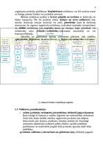 Referāts 'Noliktavu saimniecības organizēšana SIA "TNT Latvia"', 8.