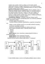 Referāts 'Noliktavu saimniecības organizēšana SIA "TNT Latvia"', 9.