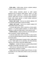 Referāts 'Fiskālā politika', 2.