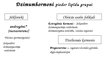 Prezentācija 'Humorālās regulācijas pamatprincipi', 20.