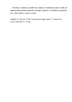 Referāts 'Valodas mācīšanas un mācīšanās veselumā definīcija', 16.