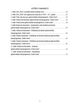 Referāts 'Preču uzskaite un kontrole SIA "X"', 3.