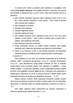 Referāts 'Preču uzskaite un kontrole SIA "X"', 14.