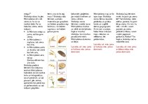Konspekts 'Nedēļas plānojums "Mārtiņi"', 2.