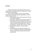 Referāts 'Reklāmas līdzekļu klasifikācija un raksturojums', 17.