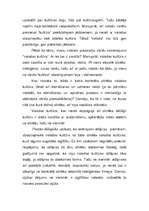 Referāts 'Valoda un kultūra', 3.