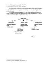 Referāts 'Interpretācija un vēsturiskā interpretācijas metode', 11.