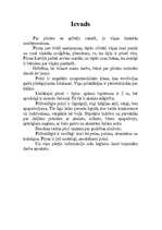 Konspekts 'Pūces', 2.