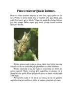 Konspekts 'Pūces', 4.