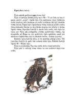 Konspekts 'Pūces', 16.