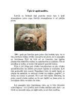 Konspekts 'Pūces', 17.