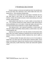 Diplomdarbs 'Konstitūcijas saturs un forma', 13.