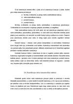 Diplomdarbs 'Konstitūcijas saturs un forma', 18.