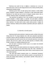 Diplomdarbs 'Konstitūcijas saturs un forma', 19.