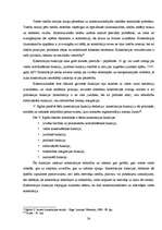 Diplomdarbs 'Konstitūcijas saturs un forma', 38.