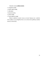 Diplomdarbs 'Darbaspēka migrācijas ietekme uz Latvijas tautsaimniecību', 12.